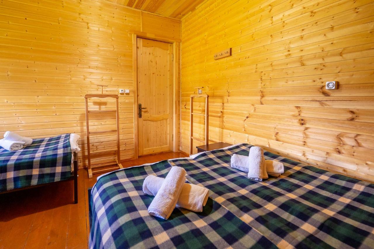 Badishi Guesthouse Mestia Ngoại thất bức ảnh